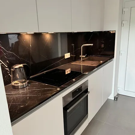 Luxuswohnung In Stadtzentrum Lägenhet Koblenz (Rhineland-Palatinate)